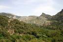 A picture