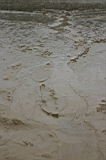 beach_river.jpg