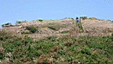 coast_walk_2.jpg