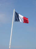 fort_flag.jpg