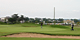 golf2.jpg
