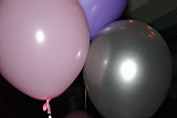 Img_2719.jpg