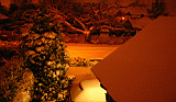 Img_2764.jpg