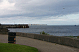 Img_2893.jpg