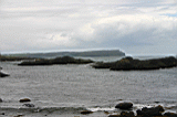 Img_2904.jpg