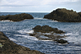 Img_2911.jpg