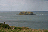 Img_2918.jpg