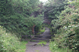 Img_2919.jpg