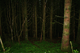 Img_2925.jpg