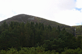 Img_2972.jpg